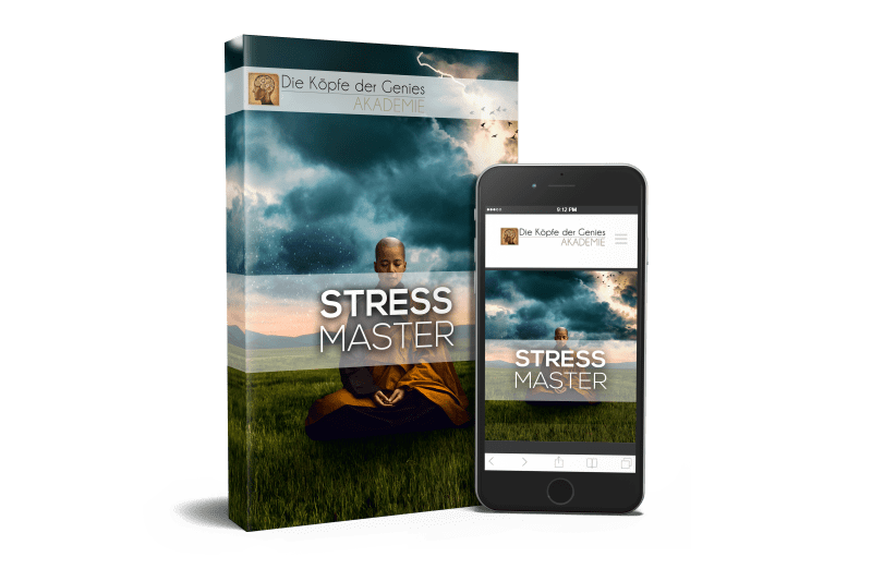 Visualisierung vom Stress Master von Maxim Mankevich